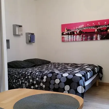 Saint-cyprien Apartment Toulouse